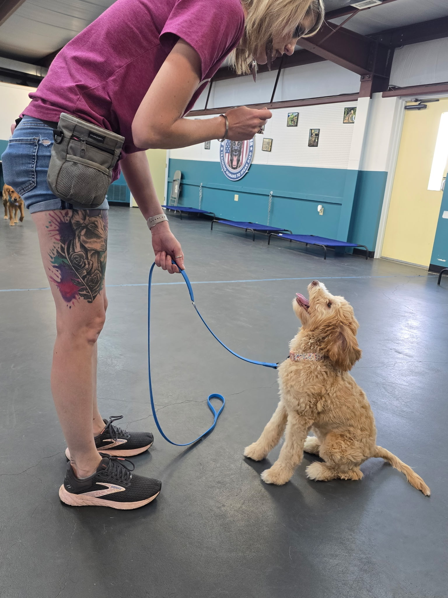 Hands-on dog training at the training center